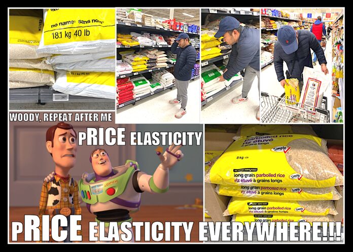 A collage of images of a person shopping in a grocery store along with a picture of Woody and Buzz Lightyear discussing price elasticity. 