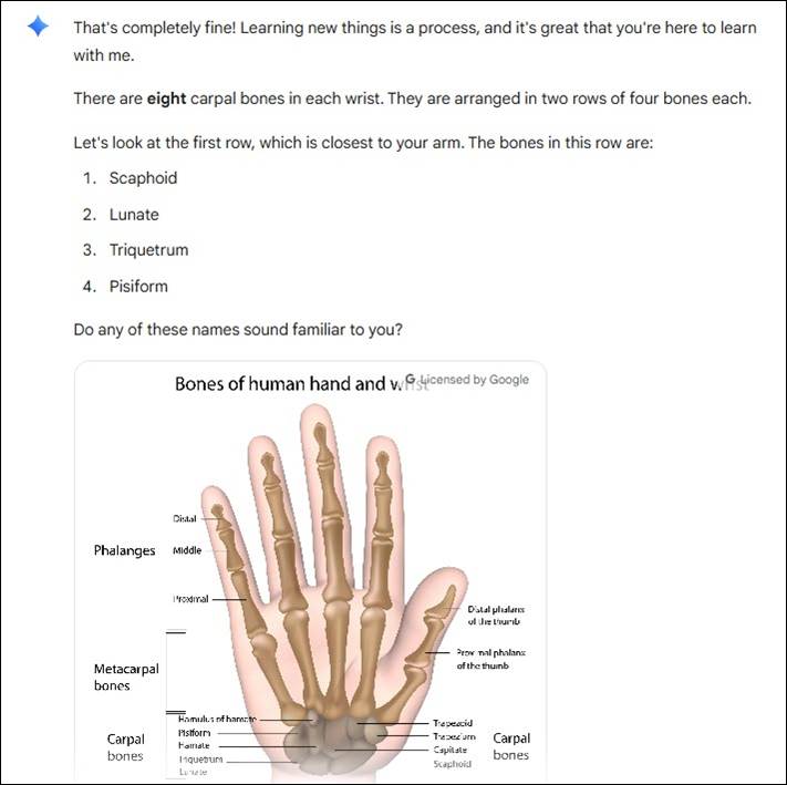 Guided Learning–generated diagram of bones in the human hand, prefaced with details about their being eight carpals and naming those in the row closest to the arm.