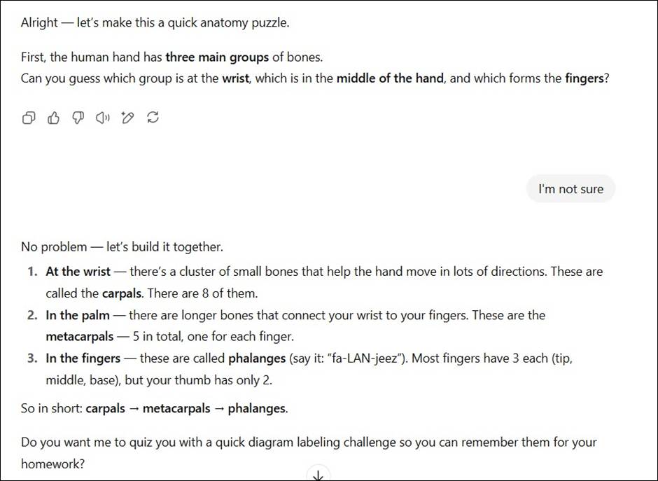 Study Mode asks questions of the user and then offers to "build it together," identifying types of bones by location and function, then offers to create a diagram.