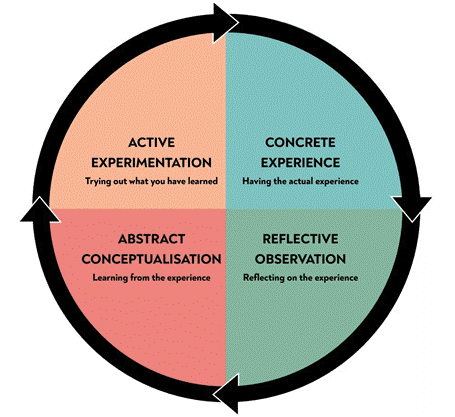 Four quadrants of a circle surrounded by clockwise arrows: active experimentation, concrete experience, reflective observation, and abstract conceptualization.