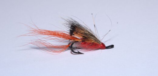 Credit: iStock/tirc83