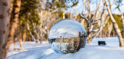 Credit: iStock/Dopeyden