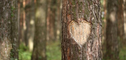 Credit: iStock/Pobytov