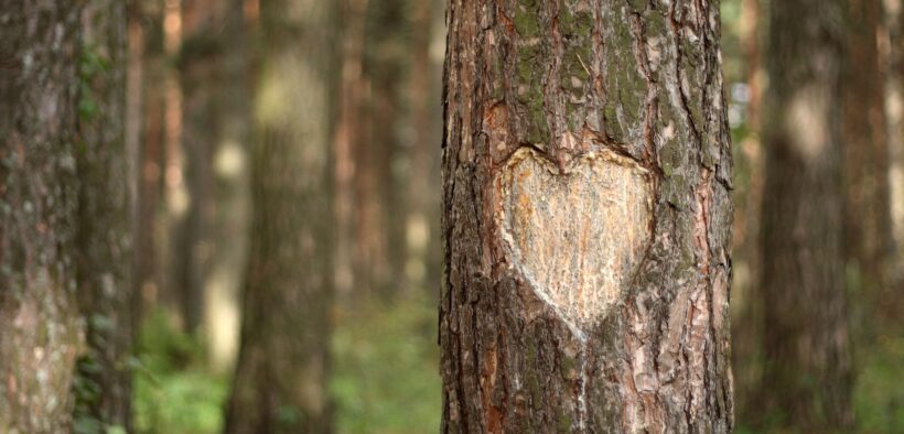 Credit: iStock/Pobytov