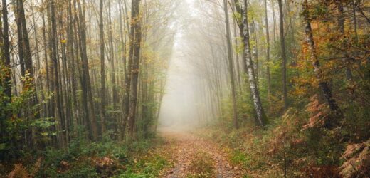 Credit: iStock/Smileus